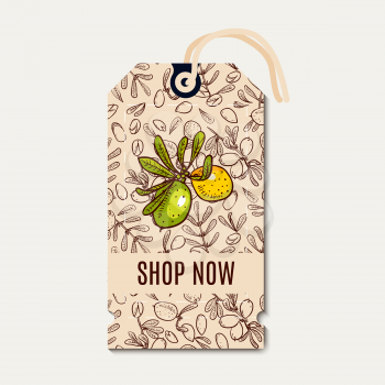 Sale of eco-style in natural colors. Tags on gifts and clothing. Background pattern with argan tree in the style of hand-drawing
