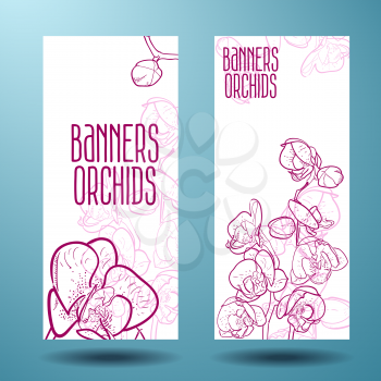 Orchids, magenta line drawn on a banner you can use to design a spa, shop flowers and other