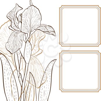 Irises painted hands, line art. Vector illustration