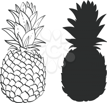 Black and white Pineapple hand-drawn and silhouette