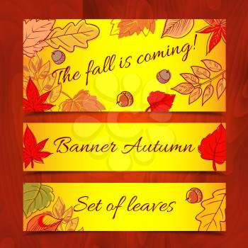 Hand-drawn leaves doodles banners and wooden background . Vector.