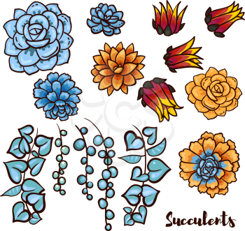 Succulents set  In the hand drawn style. Set for scrapbooking, decal, stickers