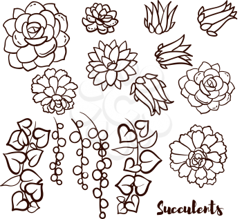 Succulents set  In the hand drawn style. Set for scrapbooking, decal, stickers