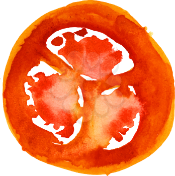 tomato. watercolor painting on isolated white background