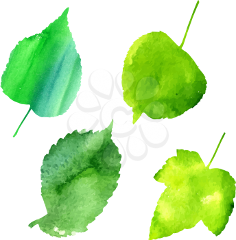 Vector set of green leaves, suitable for design patterns, background for badges and logo. Symbols of summer, growth, ecology
