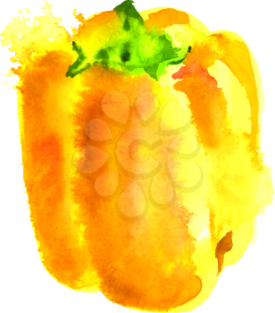 yellow sweet bell pepper watercolor on white background