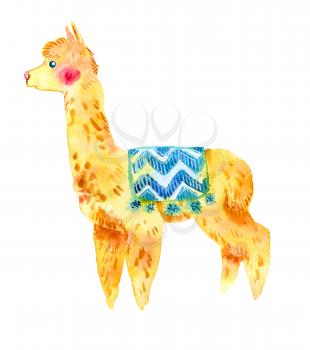 Watercolor llama, alpaca isolated on white background. Cartoon character, livestock. Prints for T-shirts, pillows, postcards