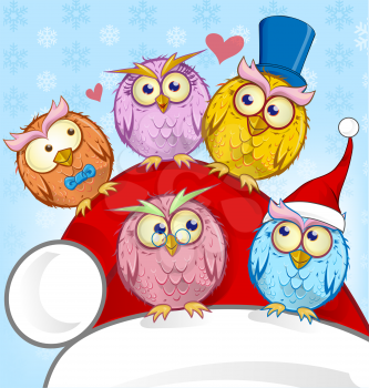 Greeting Christmas card Five Owls on  blue background