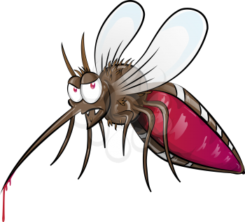 mosquito  cartoon isolated on white background