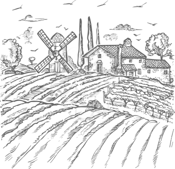 Vector Farm Engraved Style Drawing, gray Lines on White