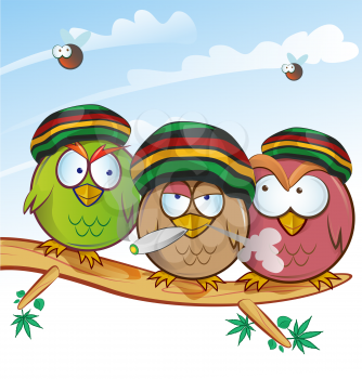 jamaican owl group cartoon on sky  background 