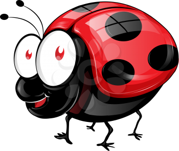 ladybug cartoon isolated on white background