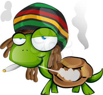 jamaican tortoise cartoon on white background