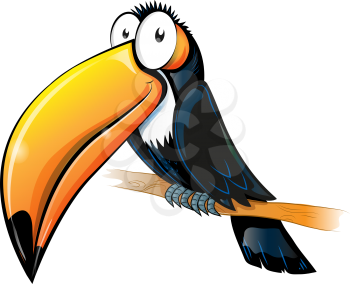 fun toucan cartoon isolated on white
