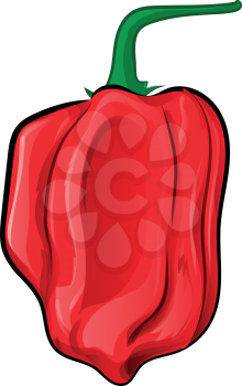 red habanero clip art  cartoon vetcor  illustration. isolated on white background