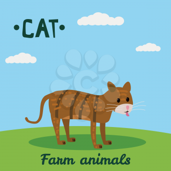 Cute Cat, farm animal character, farm animals, vector illustration on field background