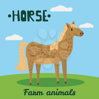 Cute Horse farm animal character, farm animals, vector illustration on field background