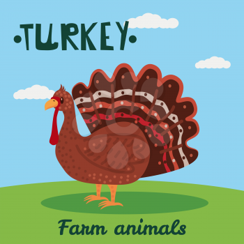 Cute Turkey farm animal character, farm animals, vector illustration on field background