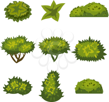 Set of bushes in catyoon style for decoration on your works, grass in cartoon style, green plants