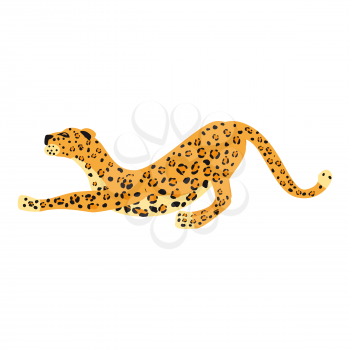 Leopard smack cute trend style, animal predator mammal, jungle