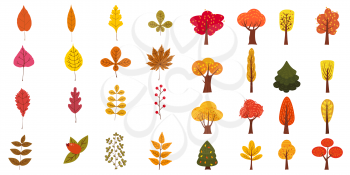 Set of cute colorful autumn leaves, trees and berries. Yellow, orange, red, brown colors