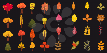 Set of cute colorful autumn leaves and berries. Yellow, orange, red, brown colors