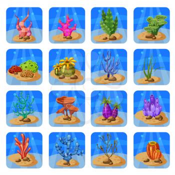 Set of colorful corals and algae on a blue background. Natural underwater vector illustration.