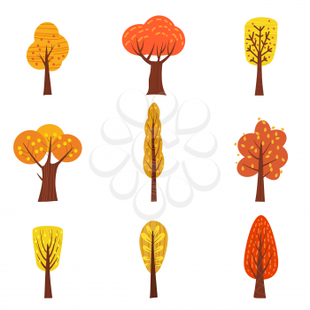 Set of autumn trees, different types, modern trend design, cute style