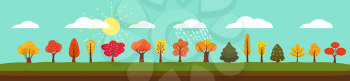 Simple landscape Set of autumn trees, different types, modern trend design, cute style