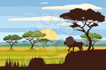 African landscape, savannah, sunset vector illustration cartoon style