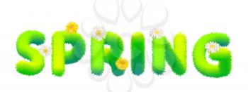 Word Spring made of fur, fluffy decoration, flowers daisey, dandelion