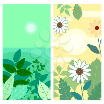 Set of floral spring leaves and flowers vertical backgrounds social media stories templates