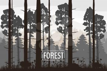 Forest landscape minimalistic illustration. Pines trees silhouettes. Nature scene.