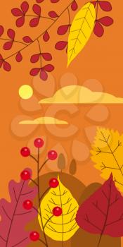 Autumn template of autumn fallen leaves orange yellow foliage. Backgrounds social media stories banners