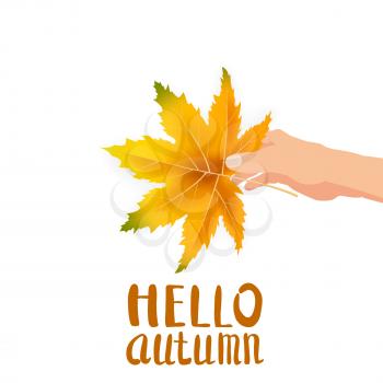 Hand hold autumn colorful leaf bright bouquet fall, floral. Hello Autumn lettering
