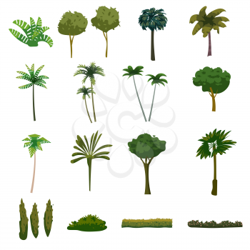 Palm trees tropical exotic plants set. Collection botanical flora jungle tropic nature. Vector cartoon flat style illustration isolated