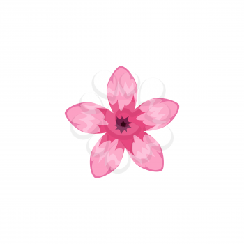 Tropical flower rose color exotic. Vector isolated cartoon style