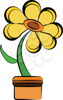 A bright yellow marguerite daisy flower with green leaf on a brown pot vector color drawing or illustration 