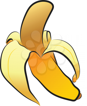 Yellow banana fruit depicting is perfectly ripped and ready to consume vector color drawing or illustration 