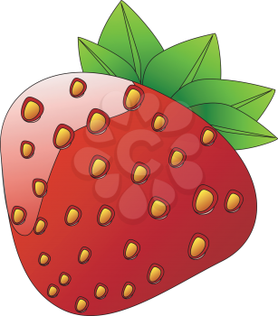 A glossy fresh sweet red berry known as strawberry vector color drawing or illustration 