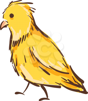Vector illustration of a yellow canary bird on white background.
