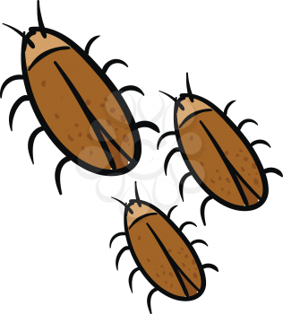Three brown cockroaches vector illustration on white background.
