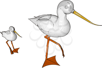 A large fish eating wading bird with long legs a long S- shaped neck and a pointed bill known for being a supreme hunter symbolize showmanship and athleticism vector color drawing or illustration