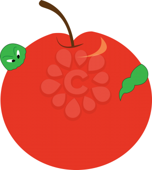 A red apple containing a green worm vector color drawing or illustration