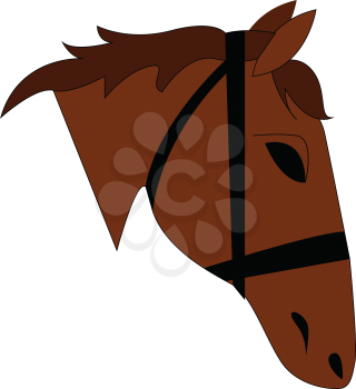 Vector illustration on a brown horse head on white background 
