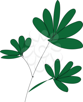 Three green leaves on a branch  vector illustration on white background 