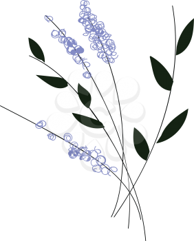 Simple vector illustration of violet flowers with black leaves on black branch on white background 