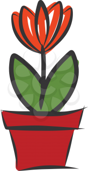Orange flower in red pot vector illustration on white background 