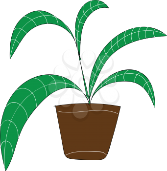 Palm plant with long green leaves in brown flower pot vector illustration on white background 