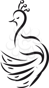 Simple black and white sketch of a peacock  vector illustration on white background 